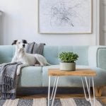 Vivid Property Perth - dog friendly rental